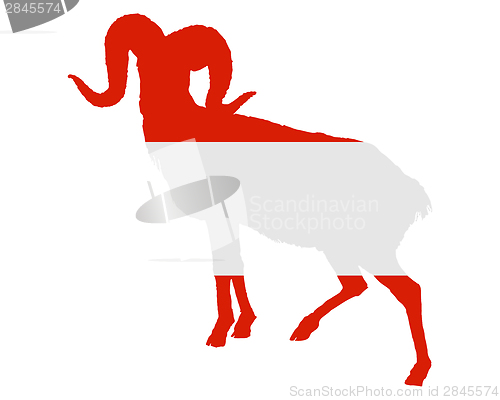 Image of Flag of Austria with ram