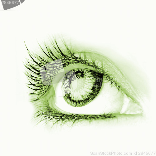 Image of Great big eye.