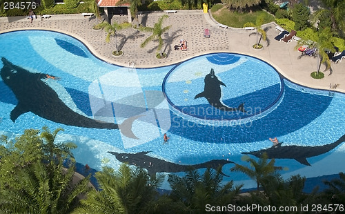 Image of Aerial view of swimming-pool