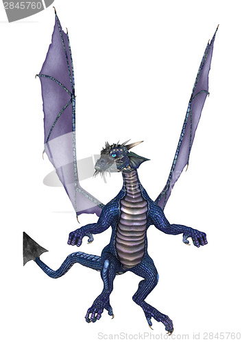 Image of Little Dragon