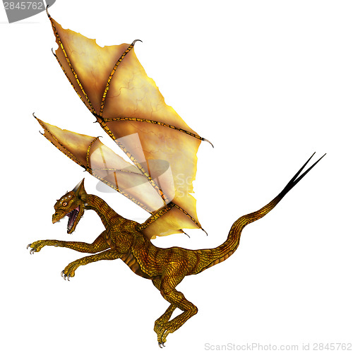 Image of Golden Dragon