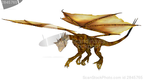 Image of Golden Dragon