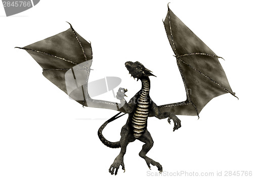 Image of Black Dragon