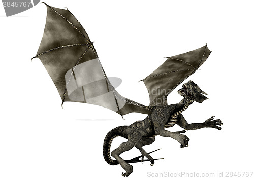Image of Black Dragon