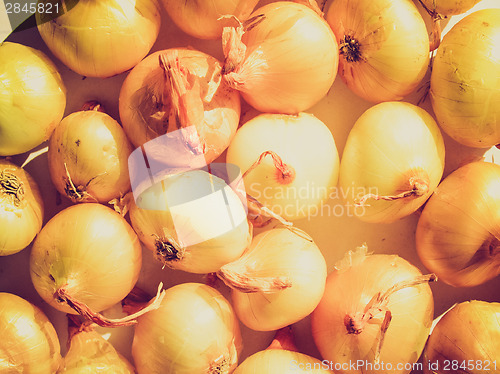 Image of Retro look Onions picture