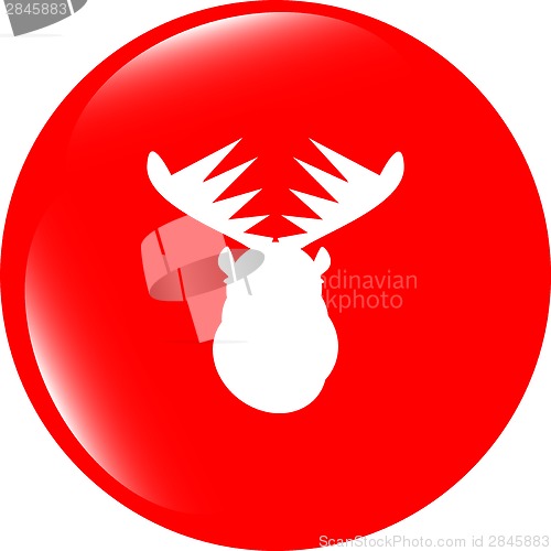 Image of Deer head on web icon button isolated on white