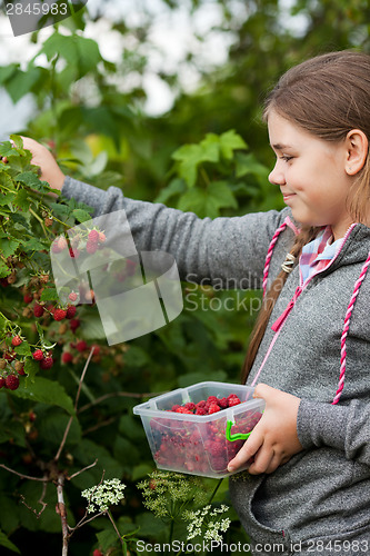 Image of Young girl in the garden