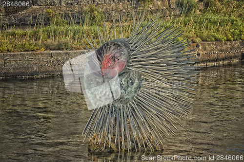 Image of monument to the sea urchin in Gallipoli (Le)