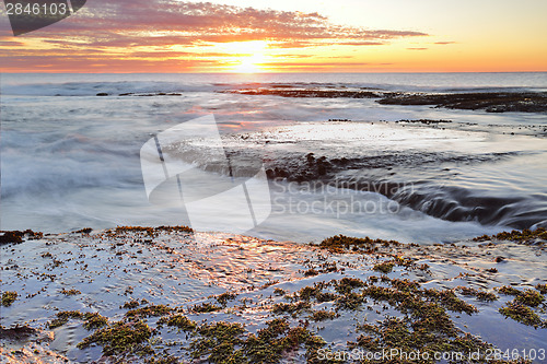 Image of Sunrise Long Reef Australia