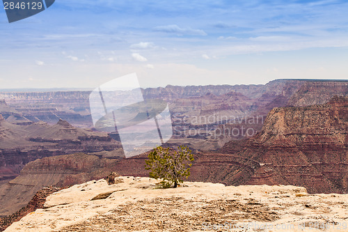 Image of Grand Canyon