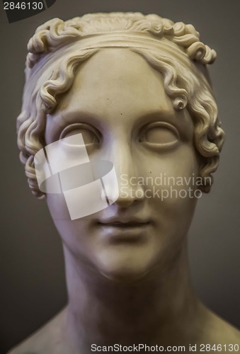 Image of Classical beauty