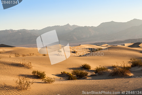 Image of Death Valley Desert