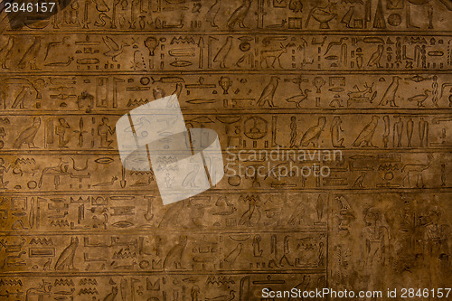 Image of Hieroglyph