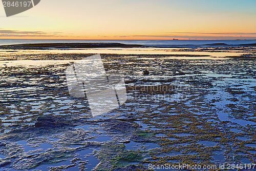 Image of Beautiful Long Reef, NSW Australia just before sunrise