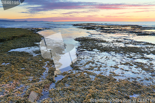 Image of The overflow, Long Reef, NSW, Australia