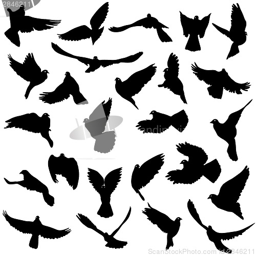 Image of Concept of love or peace. Set of silhouettes of doves. Vector il