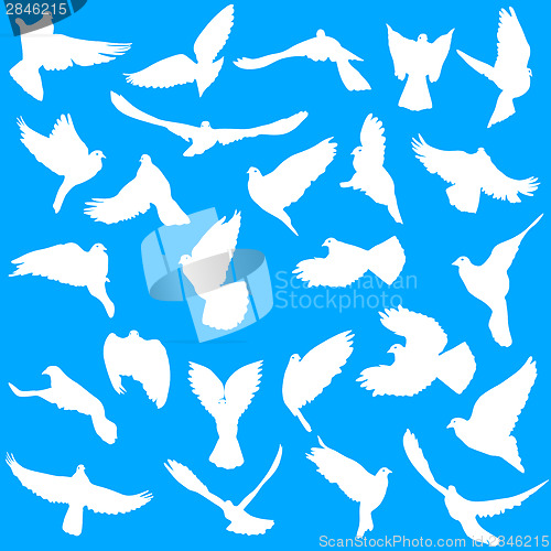 Image of Concept of love or peace. Set of silhouettes of doves. Vector il