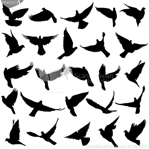 Image of Concept of love or peace. Set of silhouettes of doves. Vector il