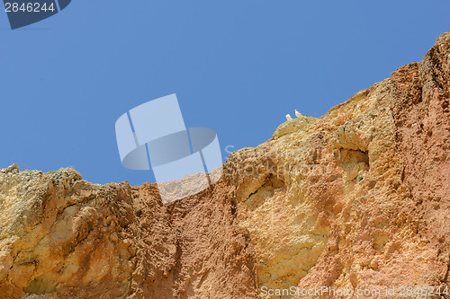 Image of Two seagulls sitting on cliff top