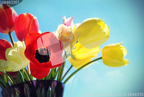 Image of Bouquet of colorful tulips