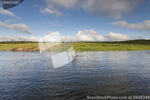 Image of Flyfisherman casting