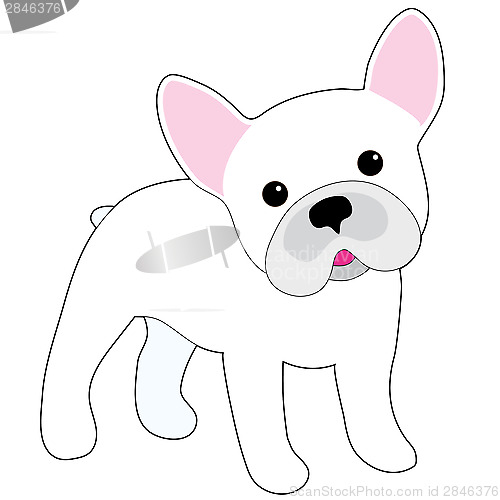 Image of French Bulldog