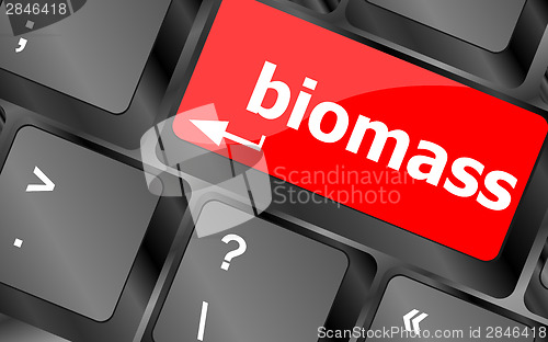 Image of Keyboard keys with biomass word button
