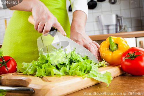 Image of Woman's hands cutting vegetables