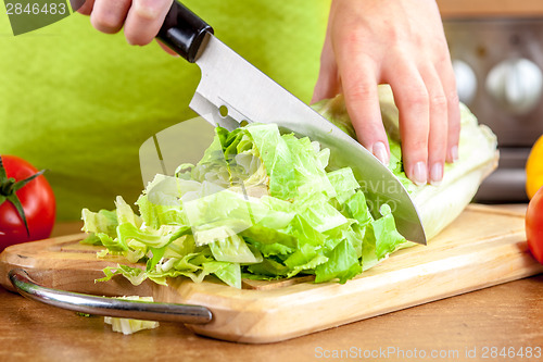 Image of Woman's hands cutting vegetables