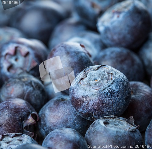 Image of Blueberries background