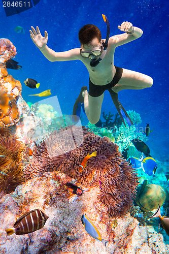 Image of Snorkeler Maldives Indian Ocean coral reef.