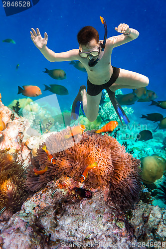 Image of Snorkeler Maldives Indian Ocean coral reef.