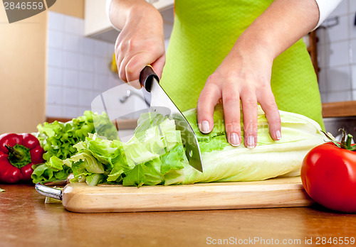 Image of Woman's hands cutting vegetables