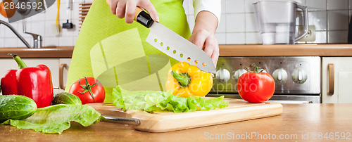 Image of Woman's hands cutting vegetables