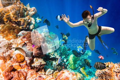 Image of Snorkeler Maldives Indian Ocean coral reef.