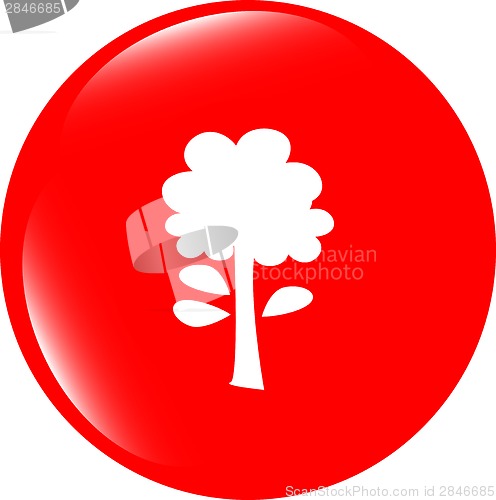 Image of Tree icon on round button collection original illustration