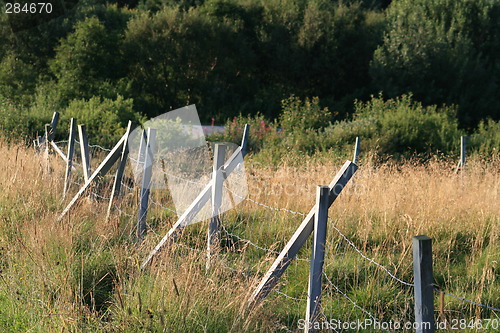 Image of old woden fences