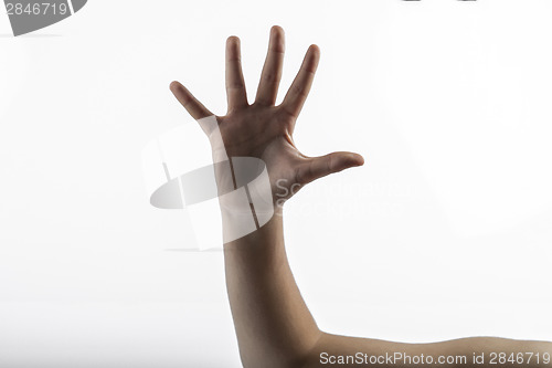 Image of Young hands makes 5 fingers sign