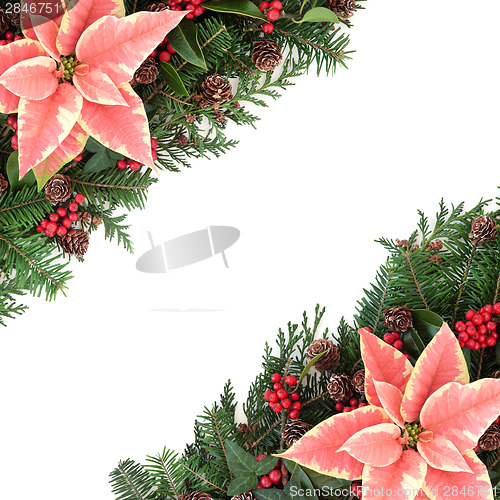 Image of Poinsettia Border