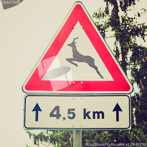 Image of Retro look Wildlife danger sign