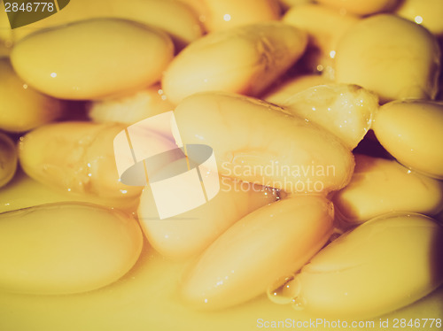 Image of Retro look Beans salad