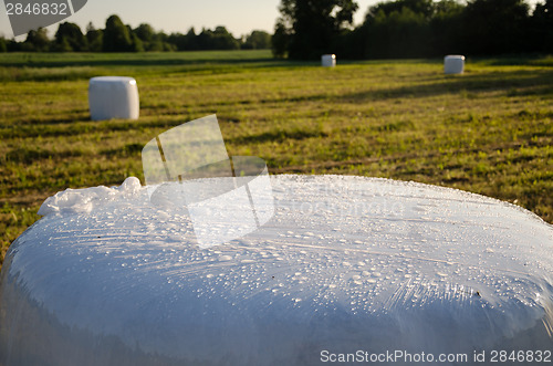Image of polythene wrapped grass bales. Animal fodder 