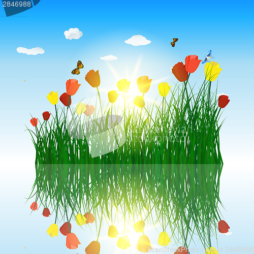 Image of Tulips in grass with reflection in water