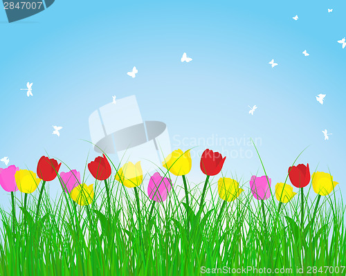 Image of Summer meadow background with tulips