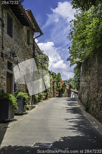 Image of Vintage italian houses with flowers