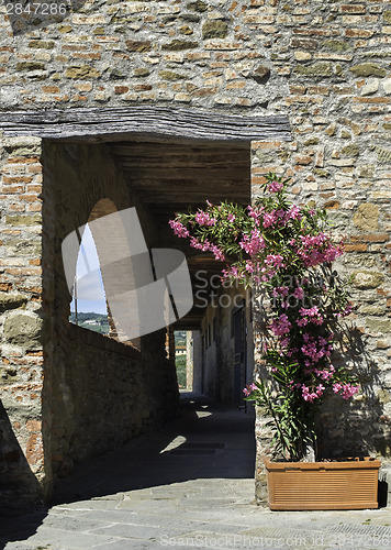 Image of Vintage italian houses with flowers