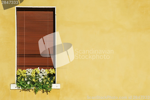 Image of Venetian windows with flowers