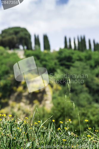 Image of Tuscany landscape