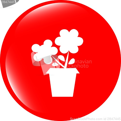 Image of Flower web buttons for website or app isolated on white