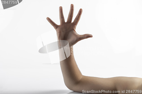 Image of Young hand make 5 fingers gesture